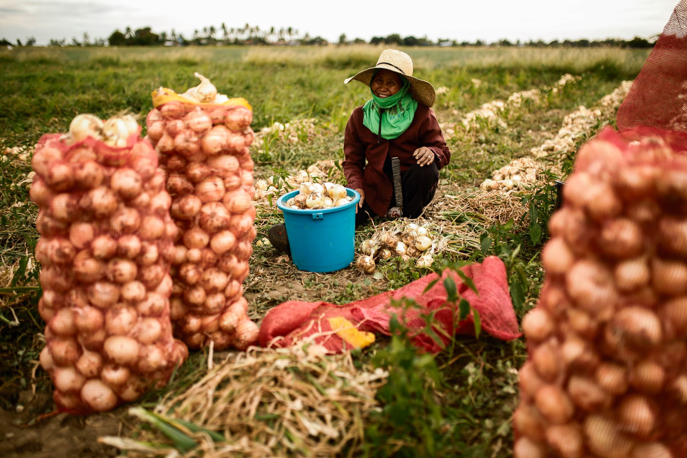 IBM and Jollibee Group Foundation Empower Farmer Entrepreneurs with Weather Insights