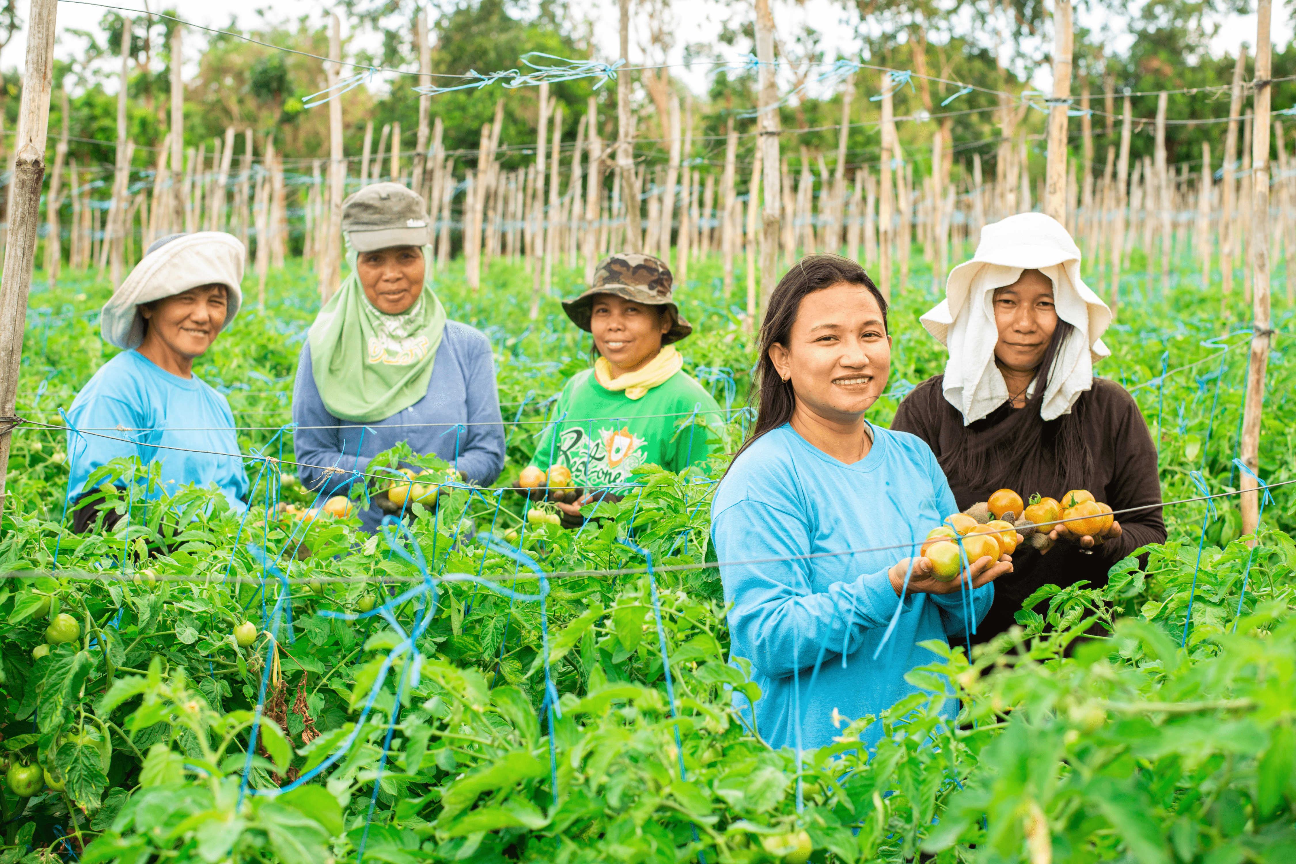 Uplifting the lives of over 700 farmers, and counting!