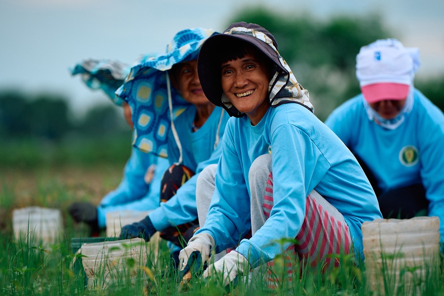 BanKo, Jollibee Group Foundation strengthen support for Filipino onion farmers through financing partnership thumbnail