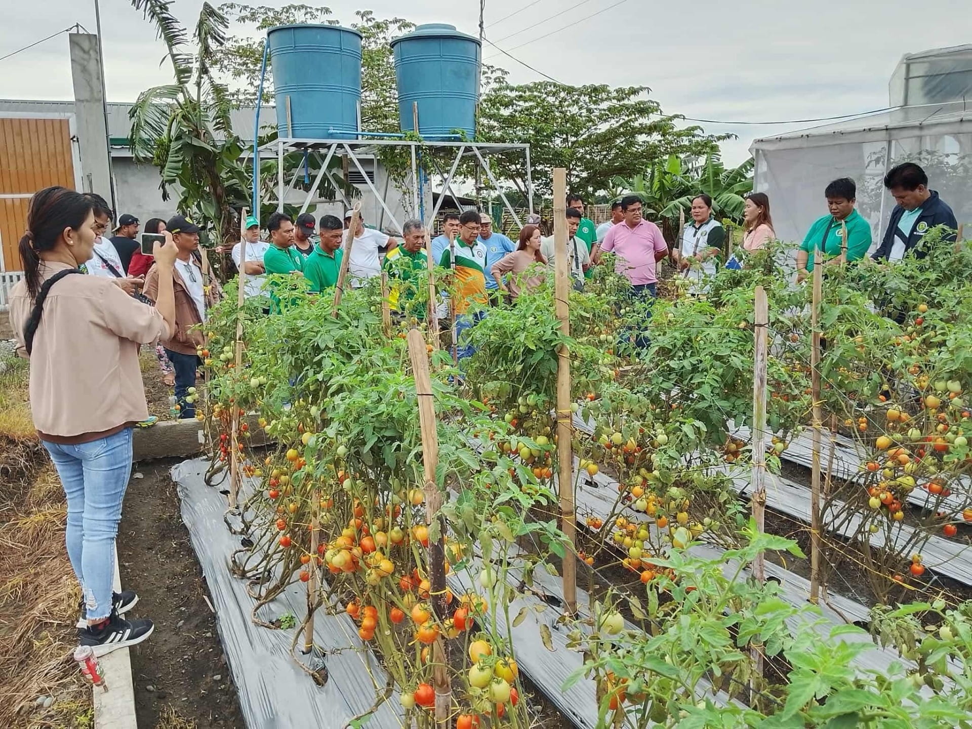Jollibee Group Foundation and UPLB Partner to Strengthen Support for Farmer Leaders thumbnail